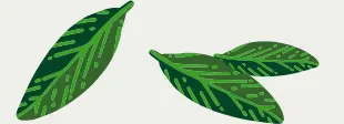 Vector Smart Object